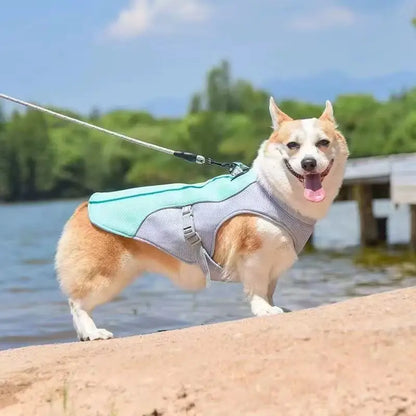 Summer Cooling Vest Harness Reflective Quick Release Hot Pet Clothes Cool Jacket For Small Medium Largr Dog Accessories